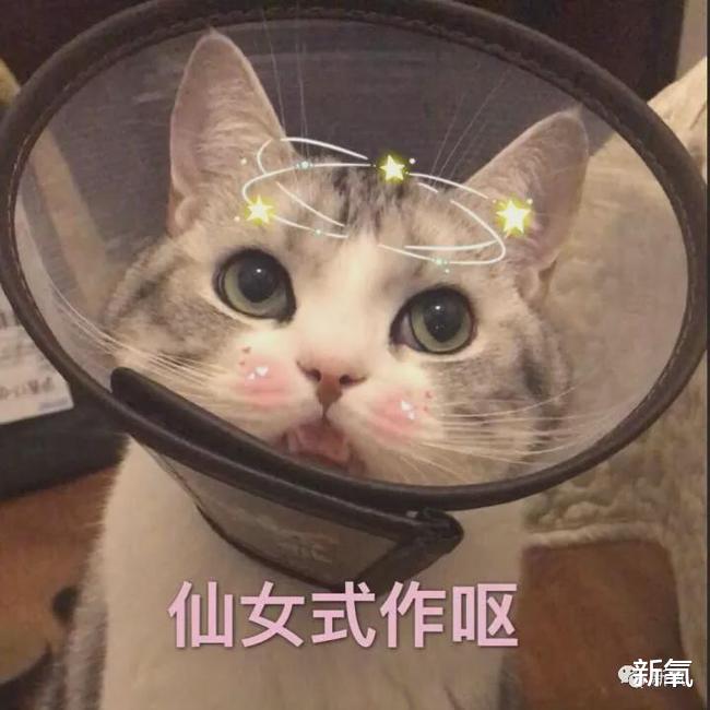 带货|赵丽颖这个车祸现场，半个娱乐圈也只有刘涛能教她了…