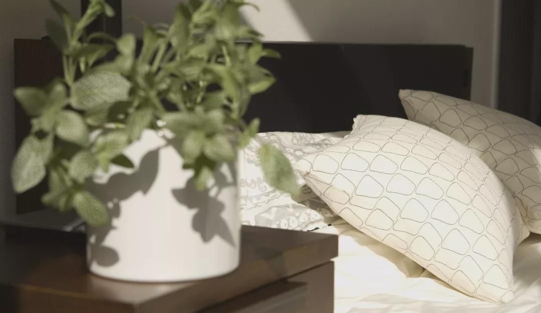 卧室里面最不该放的3样东西，难怪越睡越不舒服，赶紧弄走吧