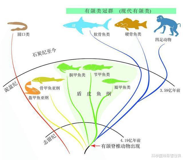 为何说人是由鱼进化而来?耳朵旁那个流出臭臭液体的小洞就是答案