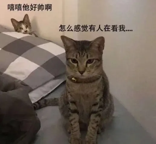 大卫星座|星座真相 | 老子要的是独一无二的， 不是你逮谁给谁
