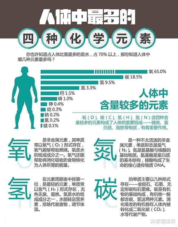 小行星 人在火化时身体会经历什么，烧完之后人体的基因还存在吗？