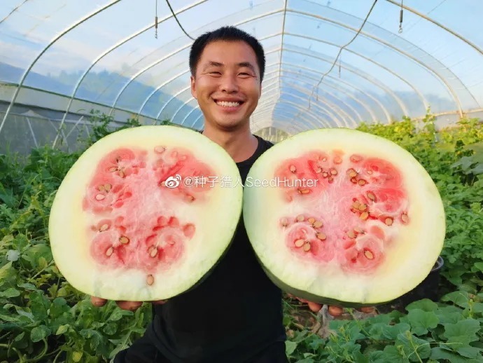  【神兽全知道】人类为了“干饭”到底有多努力？