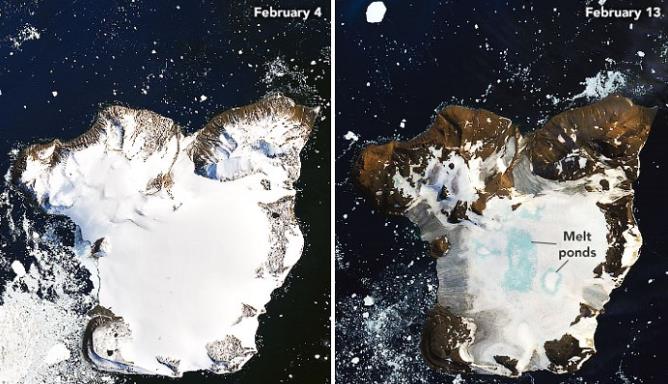 北极地区发现4.6万年前的尸体,地球或在演变,人类将何去何从?