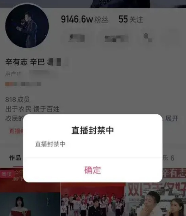 怎么又是你|再被封禁!辛巴,怎么又是你?