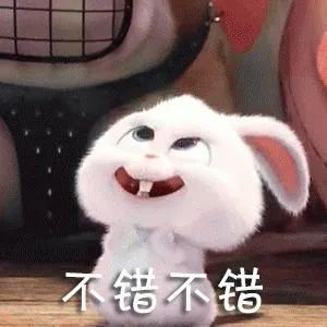 一宅家族|又挖到一部宝藏剧?