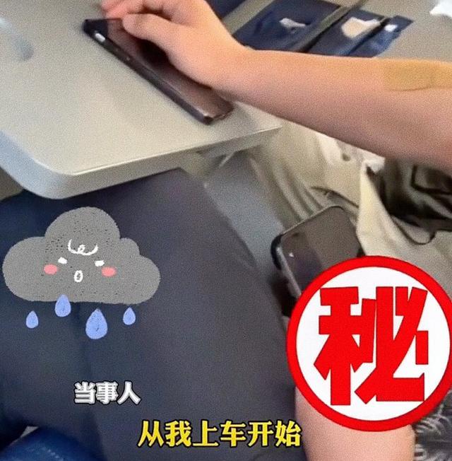 南有相思木 宁波高铁段一男子看不健康电影，还往旁边倾斜，女子：这是侮辱我