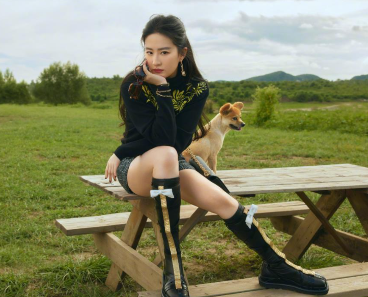 刘亦菲|“小龙女”刘亦菲的成名史,和她背后的“神仙妈妈”刘晓莉