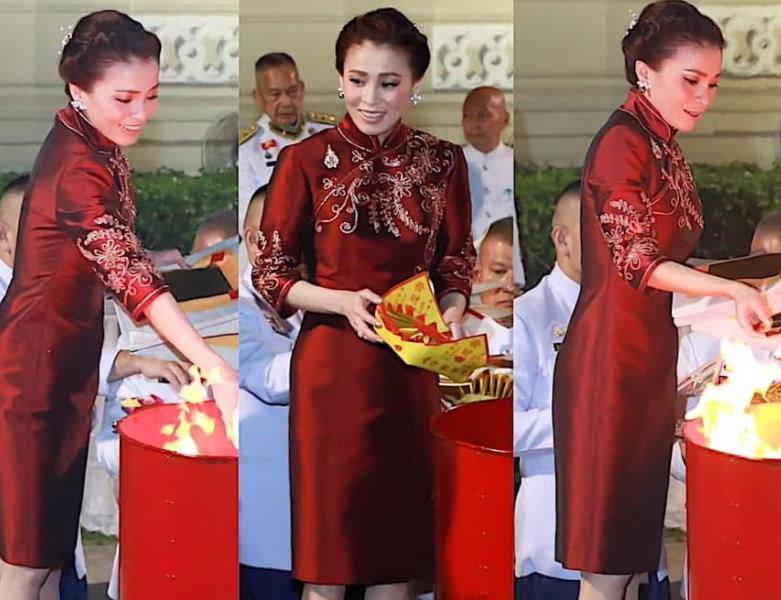 一只麦兜 苏提达高光时刻结束，奔赴瑞士照顾幼子，帝后短暂团圆几乎零交流