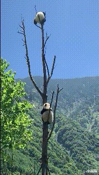 漫威|“这是林志玲女神吗？怎么看着越来越像日本的贵妇了？” 啊哈哈哈