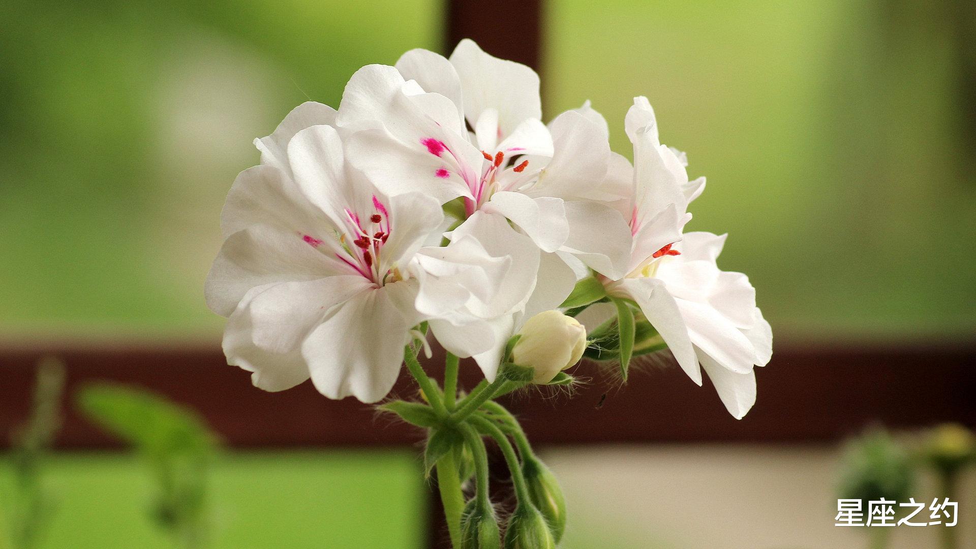 星座之约|9月3日星座运势：金牛提升实力，天蝎全力以赴，射手明确目标