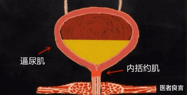 医者良言 老人夜尿多，吃什么好？