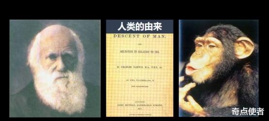 基因 达尔文错了？黑种人和白种人黄种人存在基因差异，不是一个祖先？