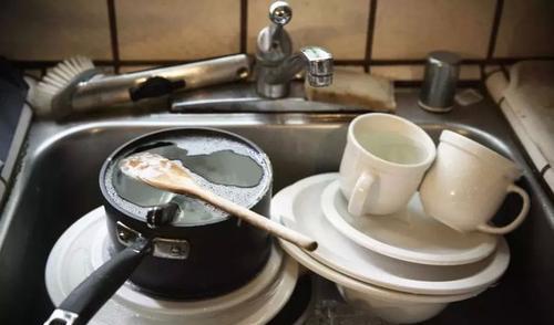 白菜|4小时不洗碗等于“吃毒”，是真的吗？研究结果公布，早知早获益