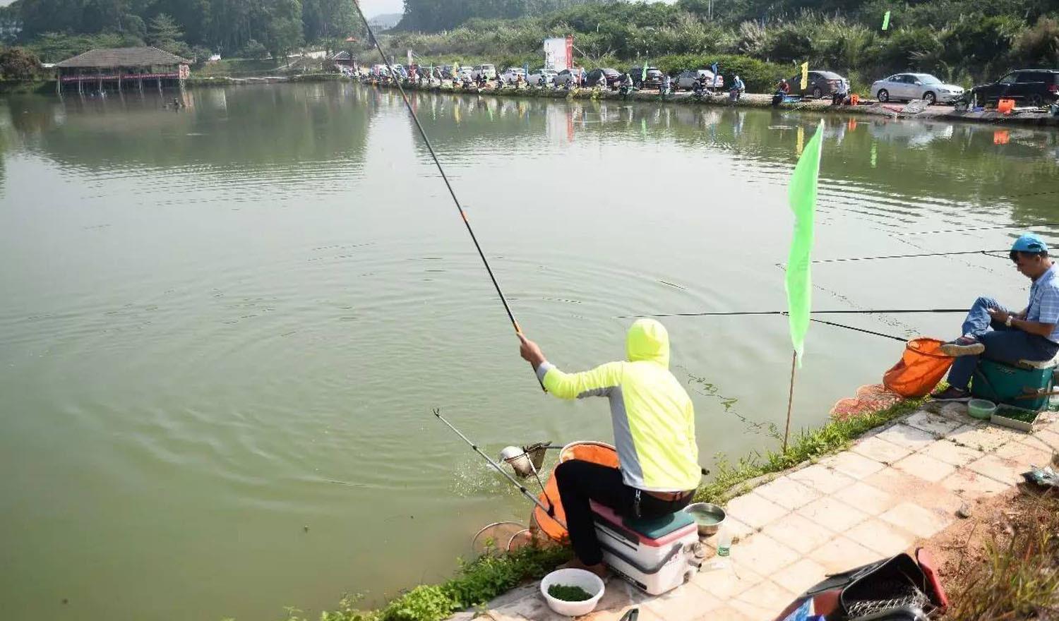 |为什么钓鱼钓不过别人?黑坑钓鲤鱼比赛钓不过别人的几个主要原因