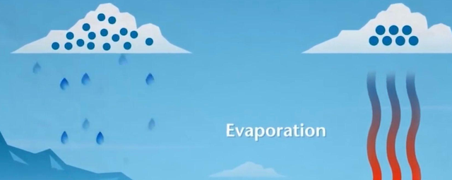 古镇 外国人:为何中国总有奇迹发生?养个鸡居然能把沙漠变“绿”