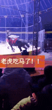 刘亦菲|“马总化腾的女儿又爆出近照，朋友们你们觉得漂亮吗？”