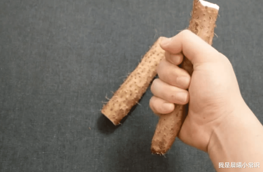 我是晨曦小常识 买山药时，这种山药千万别买，白送给你都别要，家里有的抓紧扔了！