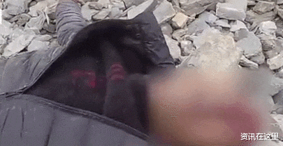 资讯在这里 与前妻发生感情纠葛后跳下15米高悬崖 警民接力将男子抬上救护车