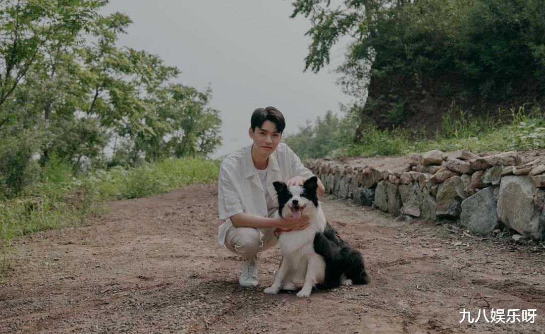 龚俊|龚俊被叫“爸比”后争议不断，是cp粉的捆绑，还是黑粉的攻击？