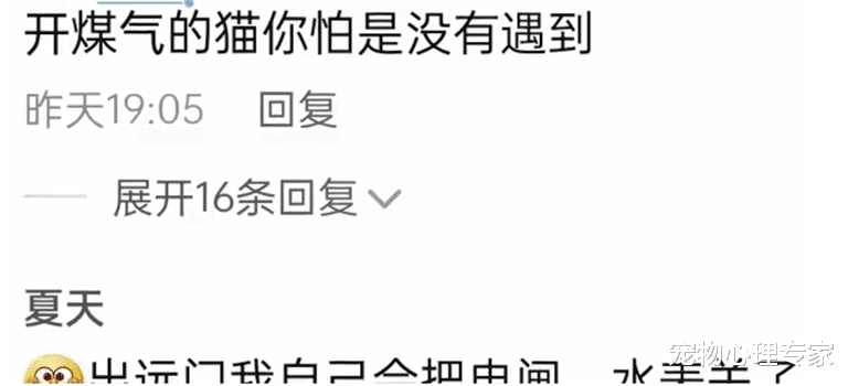 男子出差2天回家后,发现猫把家里淹了,喵:看朕打下的江山