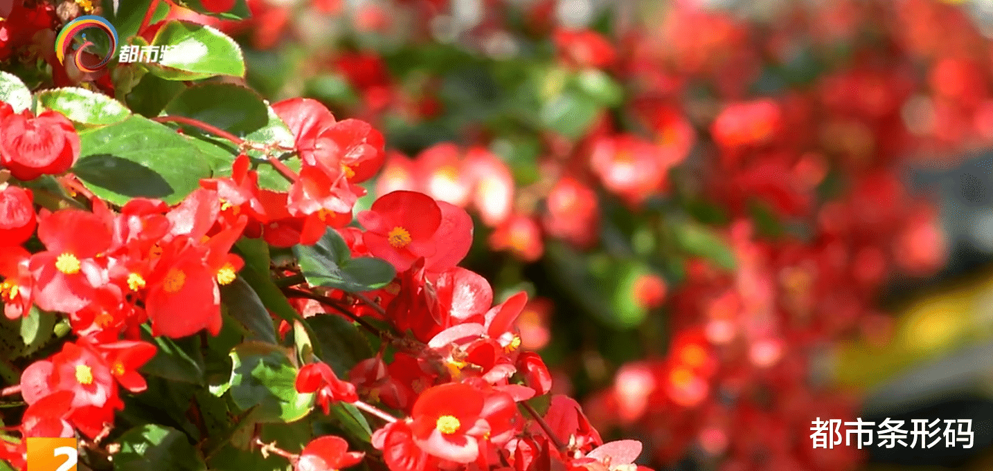 养生|春夏养阳 秋冬养阴 专家教你秋季如何养生