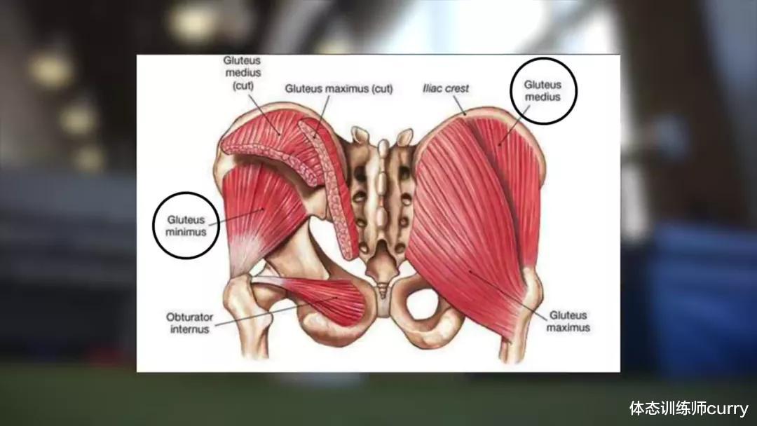臀部|「臀推」的5种最佳练法，让你的臀围蹭蹭上涨！