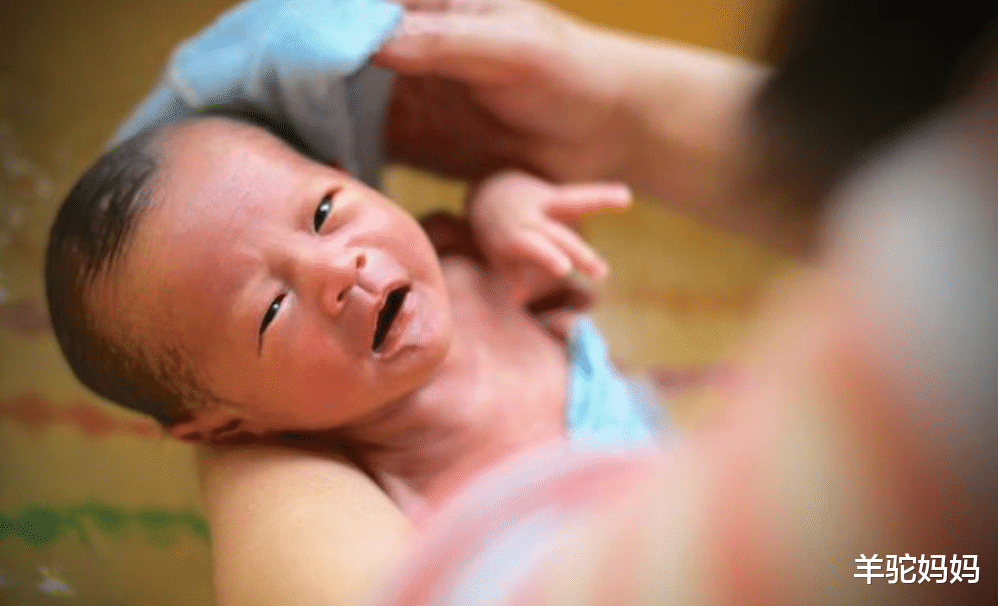 羊驼妈妈|宝宝有些部位并非越干净越好,过分清洗反而伤娃,脏脏的更健康