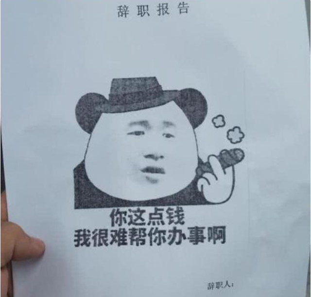 00后|00后辞职信走红，辞职理由过于“嚣张”，网友：年轻就是任性