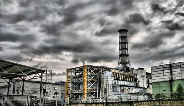 核辐射|“切尔诺贝利巨鼠”真实存在？身长50厘米，猫见了也不一定敢抓