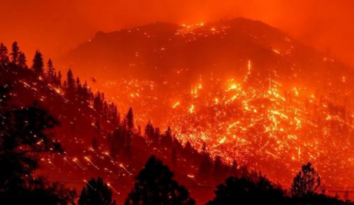 少明科学|2020年到现在,发生了哪些自然灾害?对人类最大的影响是什么?