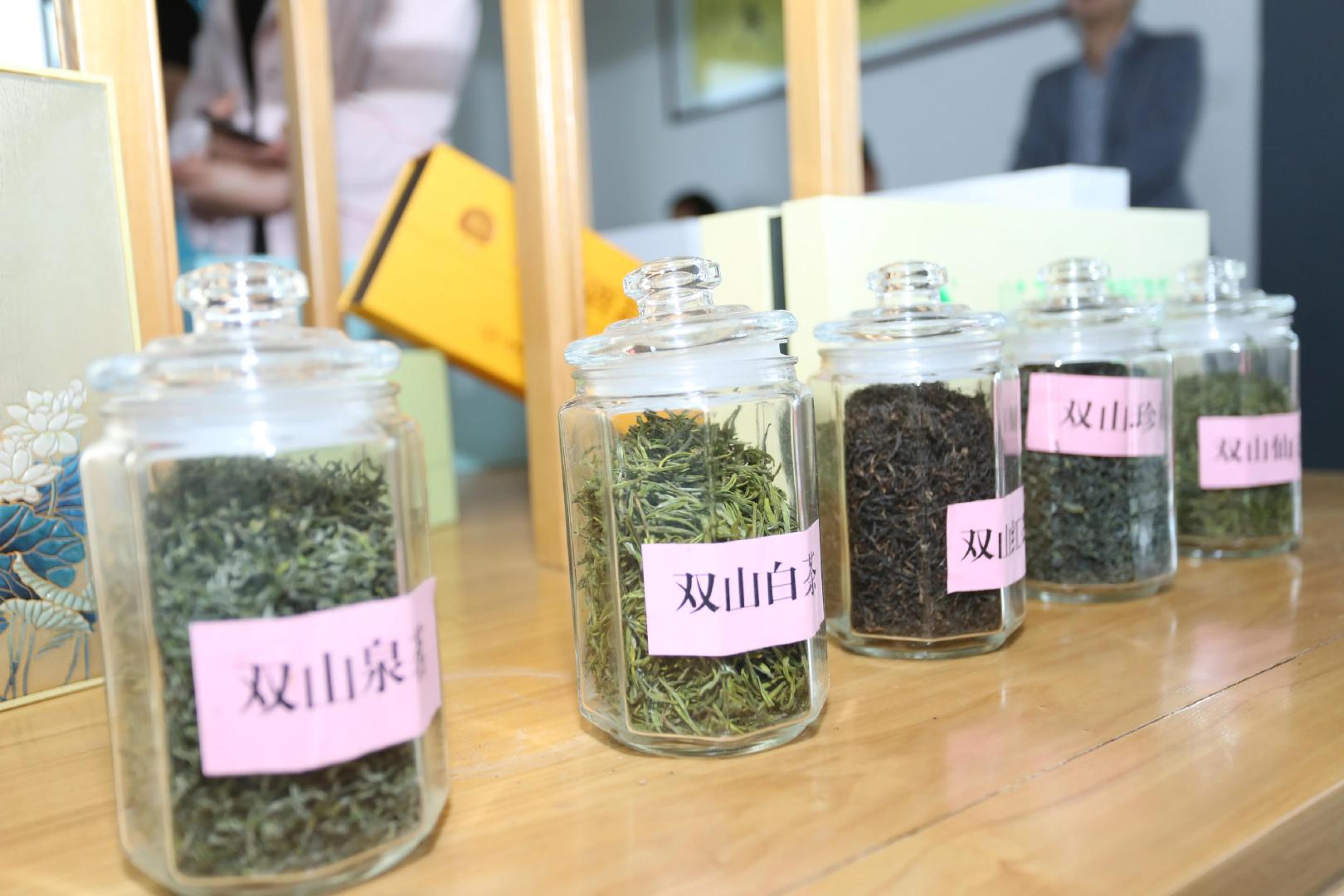 陕西旅游 探访北纬33度的奇迹 遇见陕茶遇见你 走进秦岭最美县城商南