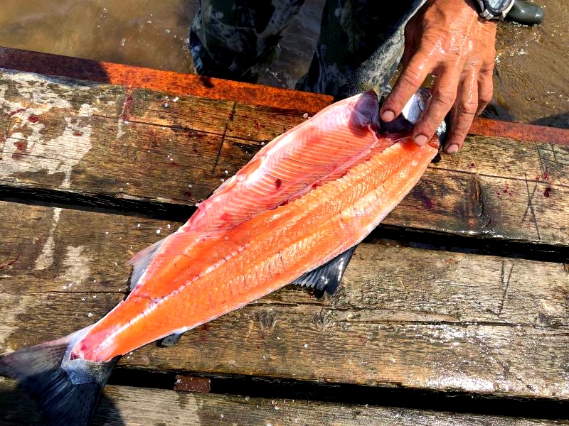 |2万元环游世界系列：这地方是吃货胜地，钓者天堂，关键去还方便