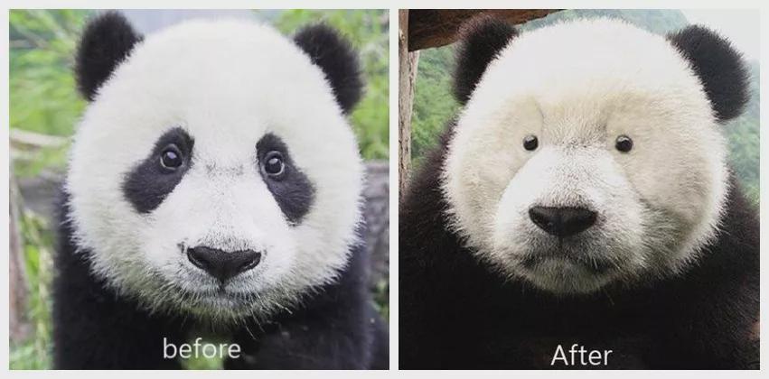 热水器|一失足成千古恨，装修时，你做过哪些令自己庆幸的事儿？