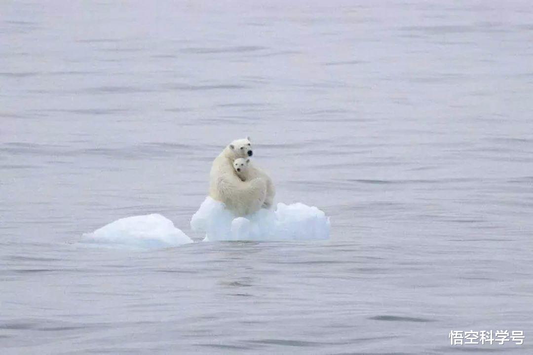 全球变暖 科学家担心气温上升更加极端:近97.5% 的概率,云会增加全球变暖