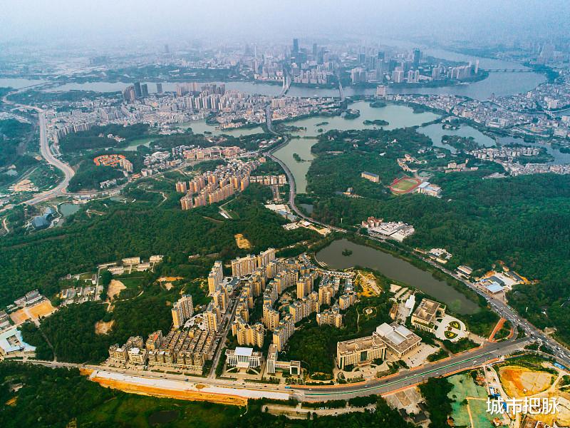 碧桂园|珠三角村民富裕程度为何普遍高于长三角？收入来源差异主要是租金