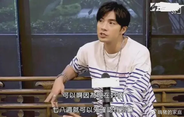 嗨猪的家庭|37岁男星“人设崩塌”:抓紧生三胎,是女儿打掉,是儿子生下来