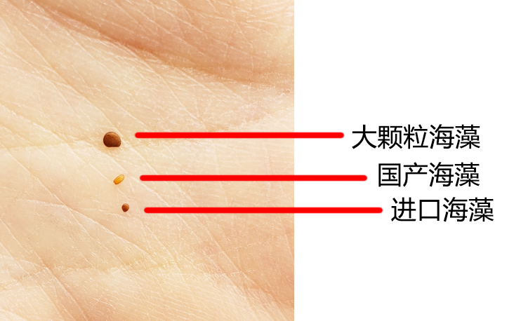 穿衣搭配 怎么判断海藻的好坏？什么样的海藻面膜是最好的？（干货16条）