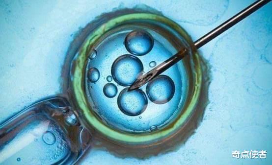 中美科学家进行“人猴杂交胚胎”实验,20天后,为何要销毁?