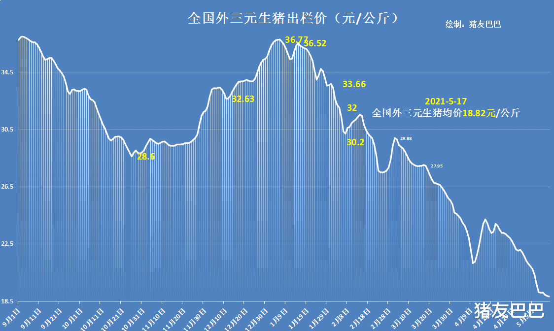 生猪价格 5月17日猪价：横盘走跌！终端白条猪走货加快！