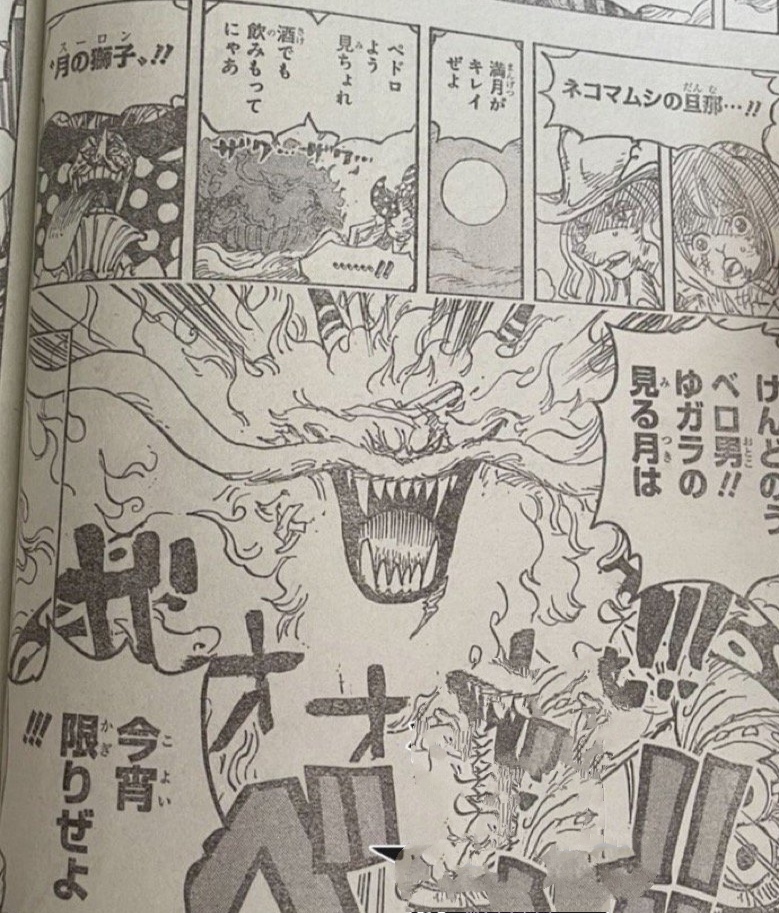 猫狗|海贼王1023话：猫狗又开挂，双双进入月狮状态，旱灾杰克危险了