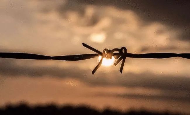 王媛可|职场经验｜体制内，活得通透的人都有哪些表现？