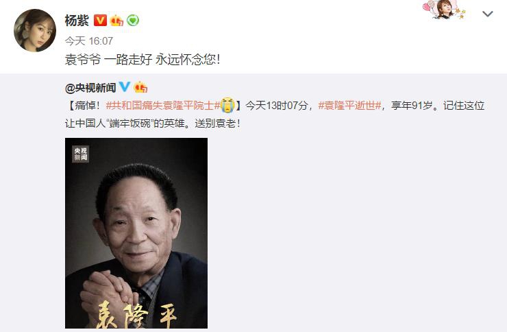 杨幂|袁隆平去世！肖战、王一博、龚俊、张哲瀚、朱一龙等明星发文悼念