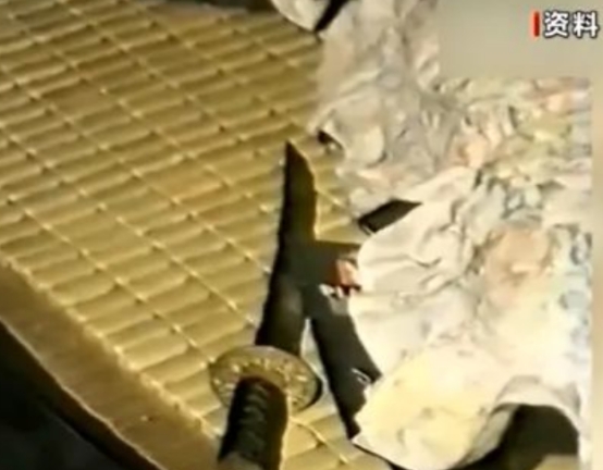  杀死七条人命的“女魔头”，逃亡23年未被发现，最后谁发现了她？