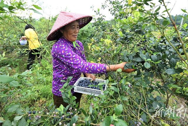 新湖南XHN 俏销“蓝”不住