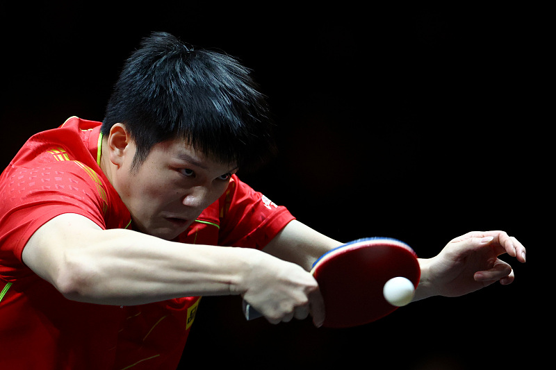 樊振東|再見日本！樊振東4-1戰(zhàn)勝張本智和，連奪3賽冠軍，無愧劉國梁信任