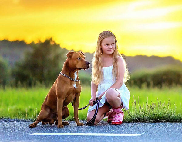 工艺品|办公桌上摆放哪些物品会给你带来麻烦