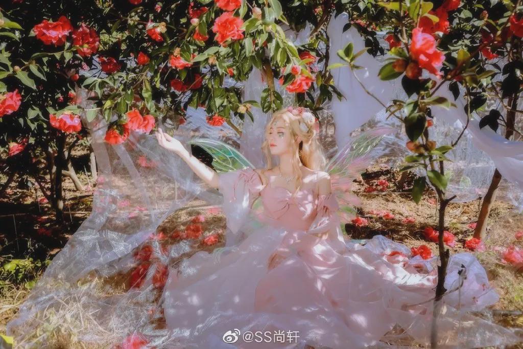 lolita|Lolita：精灵花园