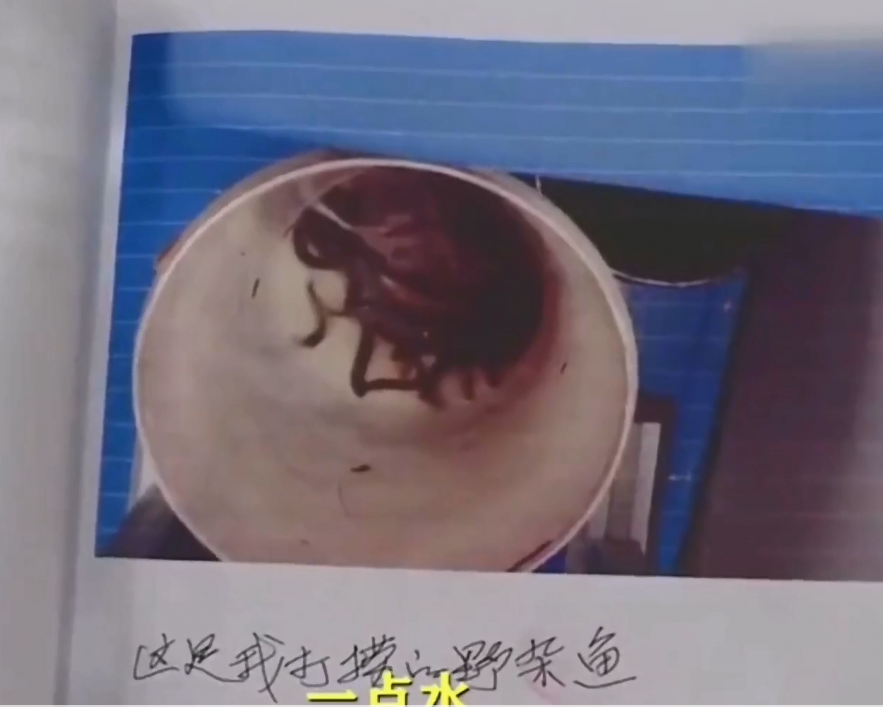 |6旬老人江边捕0.8公斤鱼，被法院判刑，是不是小题大做了？