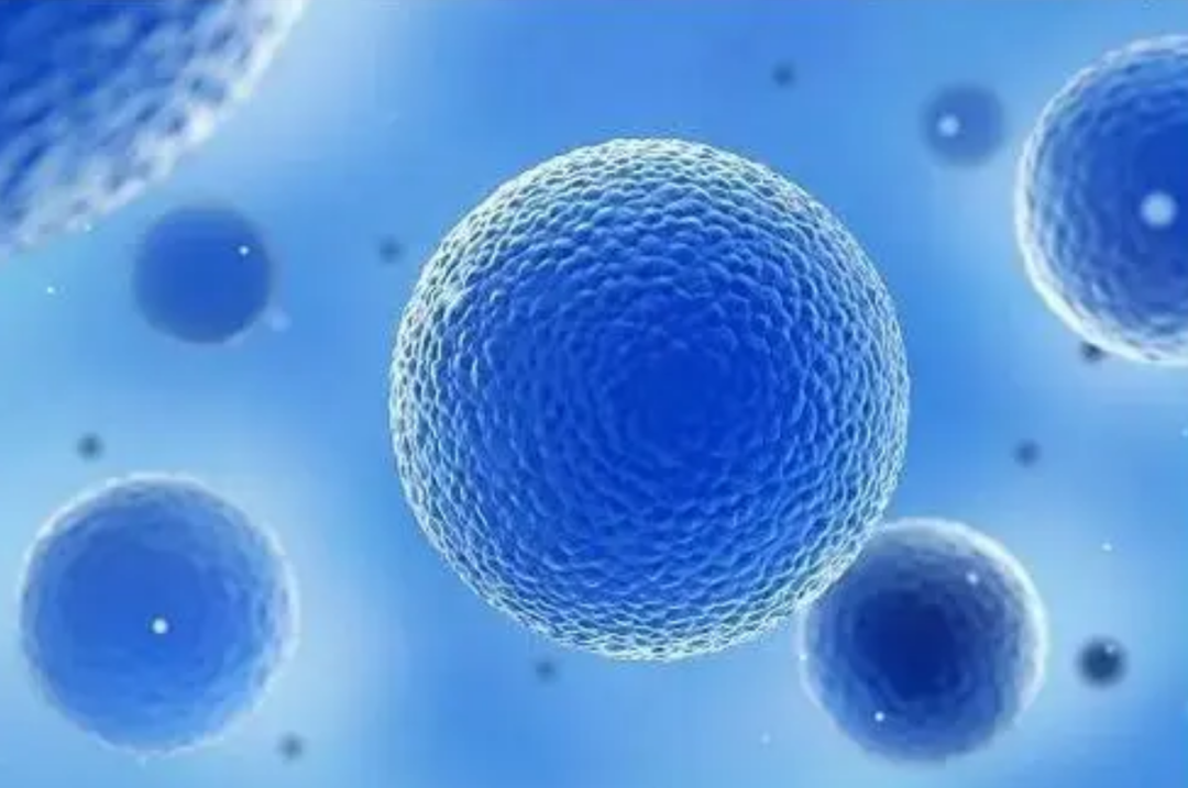 中国科学院 一个特殊病例：在死后10分钟还检测到大脑活动？死后真有生命吗？