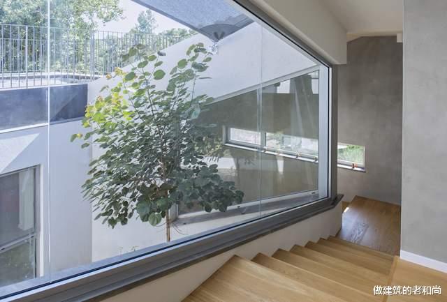 设计师|完全契合于地形的住宅:由低到高、从开放到私密层层递进